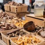 Copper Kills Cancer Cells. Then the Immune System Finishes the Job.