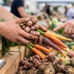 Colibactin, Accelerated Aging, and the Cancer Surge Hitting Under-50s