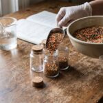Not All Resistant Starch Is Equal: Lentil Structure Shapes Your Gut's Response