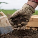 Pesticides and Herbicides Could Be Fueling IBD Through Gut Microbiome Damage
