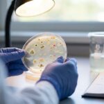 20% of Healthy Adults Have Elevated Gut Inflammation Markers, and Their Microbiomes Look Different