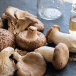 Mushroom Phenolics Act Like Prebiotics in the Gut, Early Research Suggests
