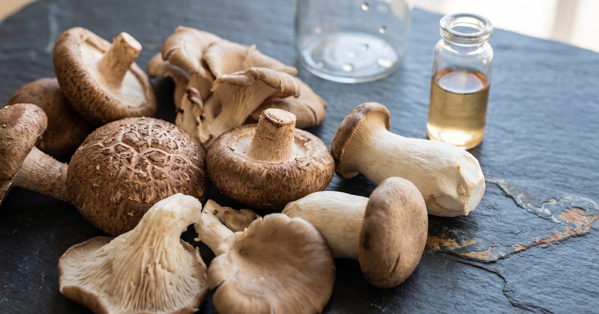 Mushroom Phenolics Act Like Prebiotics in the Gut, Early Research Suggests