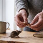 A mushroom-fed faecal transplant undid antibiotic gut damage in mice