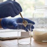 Gut bacterium curbed a cancer-linked E. coli in mice, but you cannot buy it