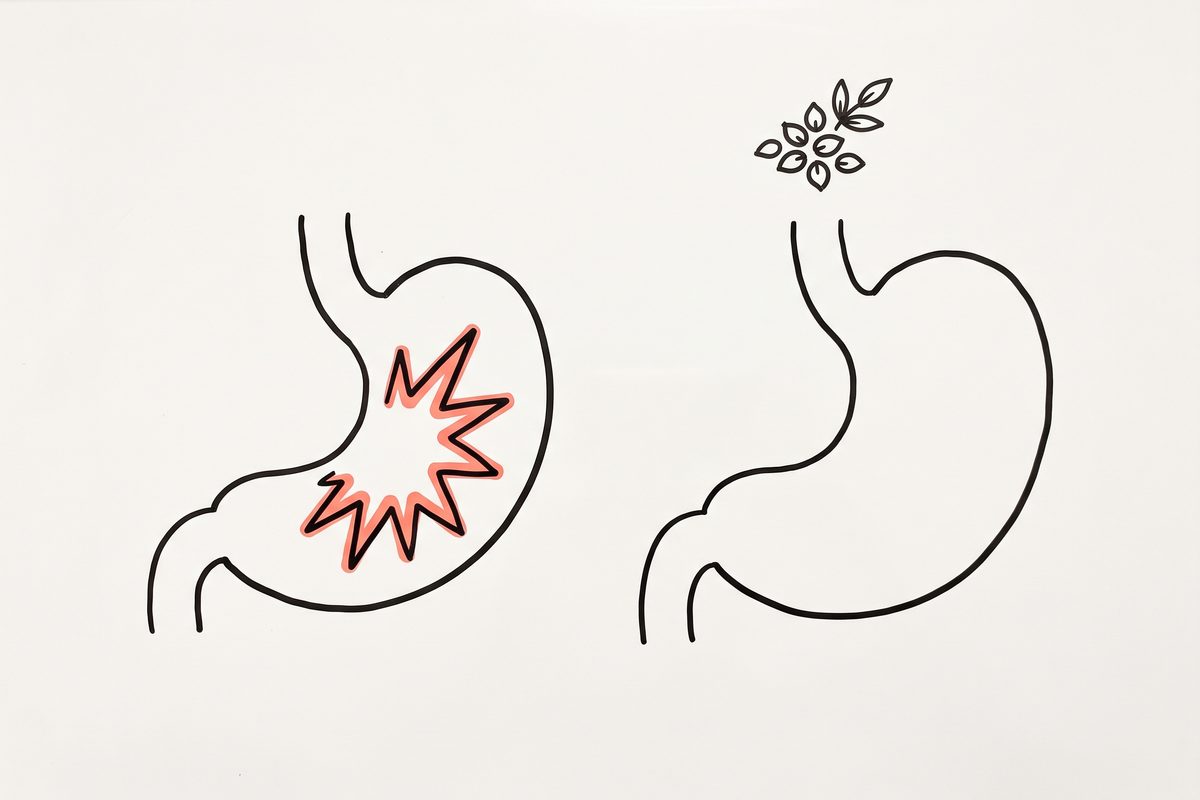 Two stomach outlines side by side, one with a small jagged discomfort mark inside, one plain, with a grain motif above the plain one.