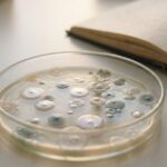 Capsule Fecal Transplants Fail More Often Than Colonoscopy in 652-Patient Study