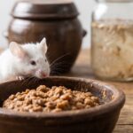 Korean Fermented Soybean Paste Cuts Fat Buildup by Rewiring Gut Bacteria Signals