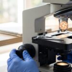 Scientists turn a gut probiotic into a tumor-seeking cancer drug in mice