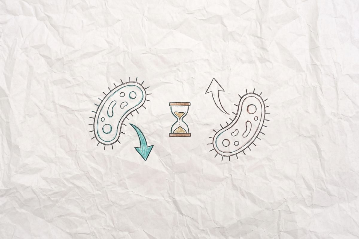 Two bacterium icons side by side, one with a teal downward curving arrow and one with a plain upward curving arrow, with an hourglass between them.