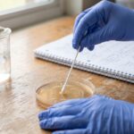 One Gut Bacterium May Flag Heart Disease Risk in People With Obesity