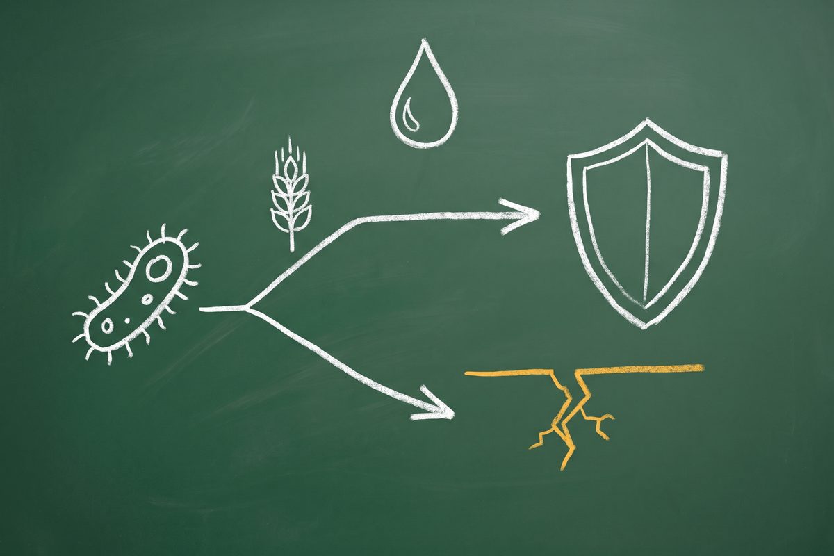 A bacterium icon branching into two paths, one toward a shield near a wheat stalk icon, one toward a warm yellow crack in a wall line, with a blood droplet above.