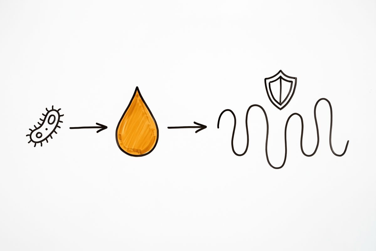 A bacterium icon with an arrow to an amber droplet shape, then an arrow to a wavy line representing gut lining, with a shield icon nearby.