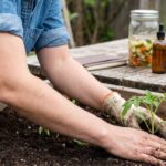 Got a Garden? A 423,000-Person UK Study Ties It to Lower Diabetes Risk