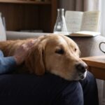 IBS Might Actually Be a Metabolic Disorder, Huge Study Finds