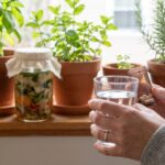 Doctors Combined Phage Therapy With Fecal Transplants to Fight Recurrent UTIs