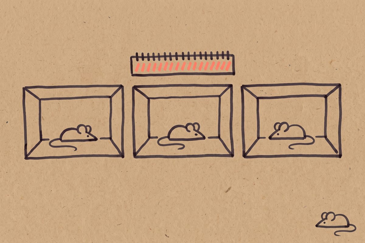 Three mouse silhouettes each inside a simple box, with a strip of 28 small tick marks above the middle box.