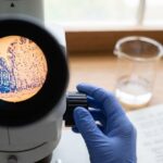 Blocking One Receptor Fully Protected Aging Gut Stem Cells in Mice