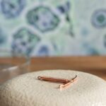 Copper IUDs Disrupt Vaginal Bacteria in Ways Hormonal Birth Control Doesn't