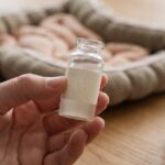 Engineered gut probiotic brewed its own chemo and wiped out 43% of mouse tumors