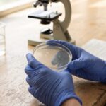 The Food Additive That Blocked Diet-Driven Colitis in Mice