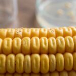 CDC Finds Glyphosate in 80% of US Urine Samples - and Kids Are Most Exposed