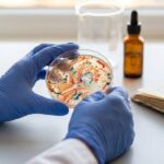 Scientists Restore a Missing Gut Bacteria Pathway, Ease Autism Signs in Mice