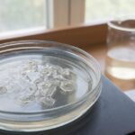 H. Pylori Leaves a Lasting Scar on Stomach Cells