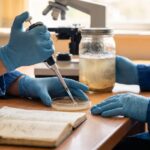 Early Antibiotics Rewired Gut Bacteria and Caused Lifelong Obesity in Mice
