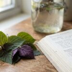 The Ancient Herb Perilla May Calm Gut Inflammation, Research Review Finds