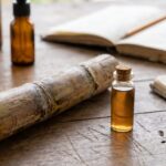 Sugarcane Extract Lowered Trans Fats and Cholesterol by Shifting Gut Pathways