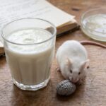Probiotic Fermented Milk Reduced Alzheimer's Plaques and Boosted Memory in Mice
