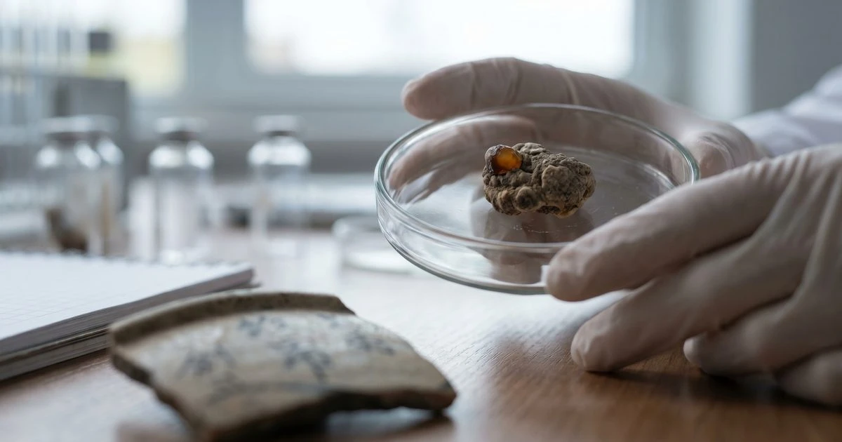 Tooth Blackening and Sex Both Shaped Ancient Japanese Oral Bacteria, Study Finds