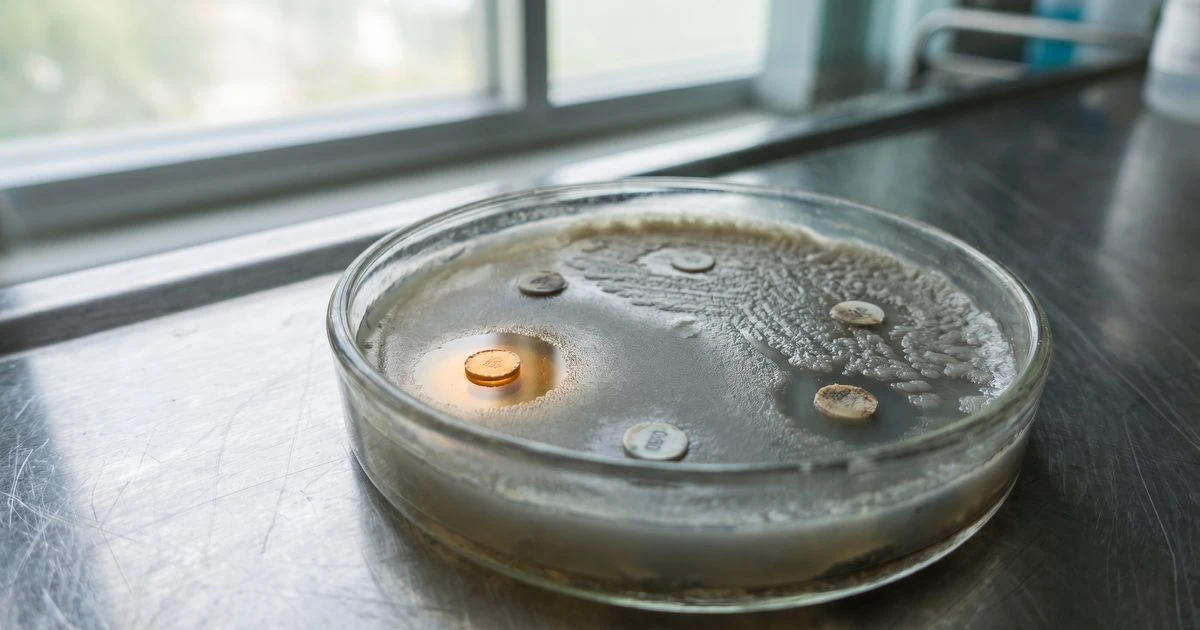Hospitals Are Losing the Antibiotic War. This New Guideline Shows How to Fight Back.