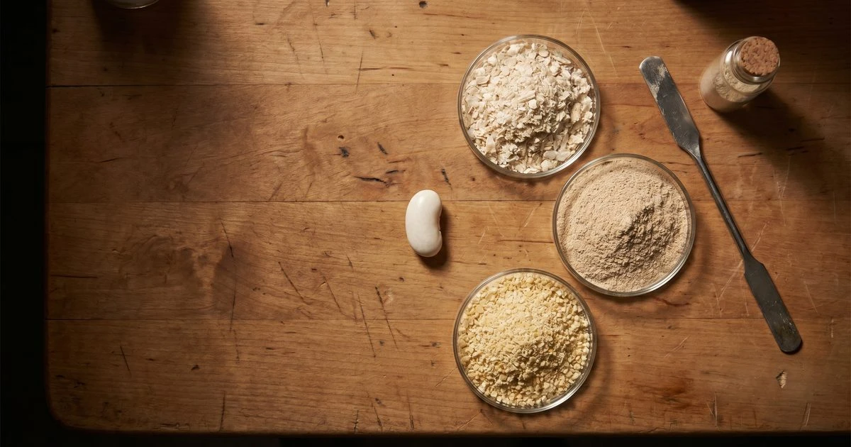 The Extraction Method Makes or Breaks Kidney Bean Fiber as a Prebiotic for Aging Guts