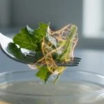 The Food on Your Plate May Be Quietly Rewiring Your Gut's Antibiotic Resistance