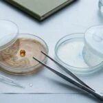 The Gut-Skin Connection That Explains Every Summer Breakout