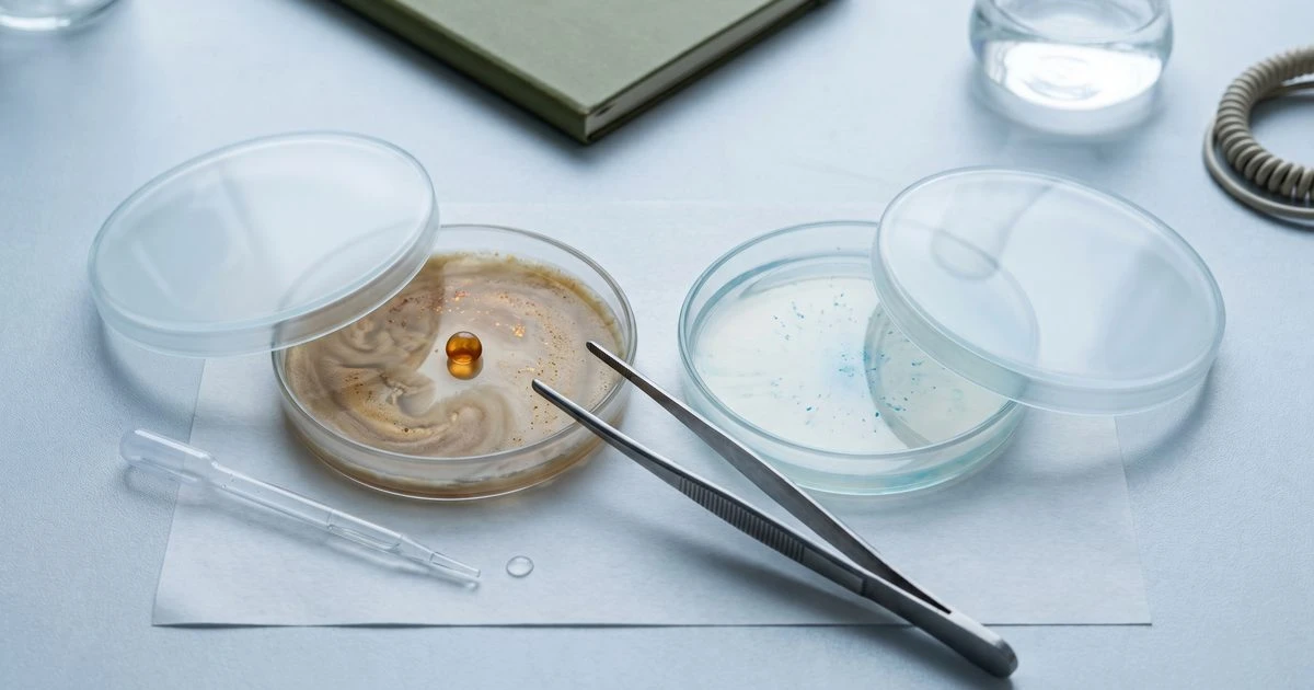 The Gut-Skin Connection That Explains Every Summer Breakout