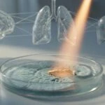 Heat Stroke Wrecks Your Gut Microbiome. That Could Be Why Organs Fail.