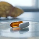H. pylori Eradication Drug Achieves 90%+ Success Rate in Fatty Liver Patients