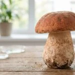 A Mushroom That Causes Vivid Hallucinations With No Known Psychedelic Compound