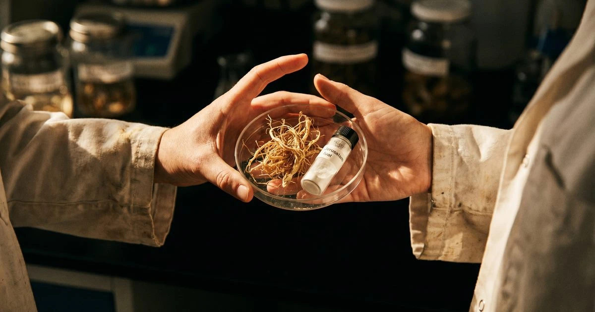 A Fiber from Jerusalem Artichoke Cut Weight Gain by 20% in Obese Mice