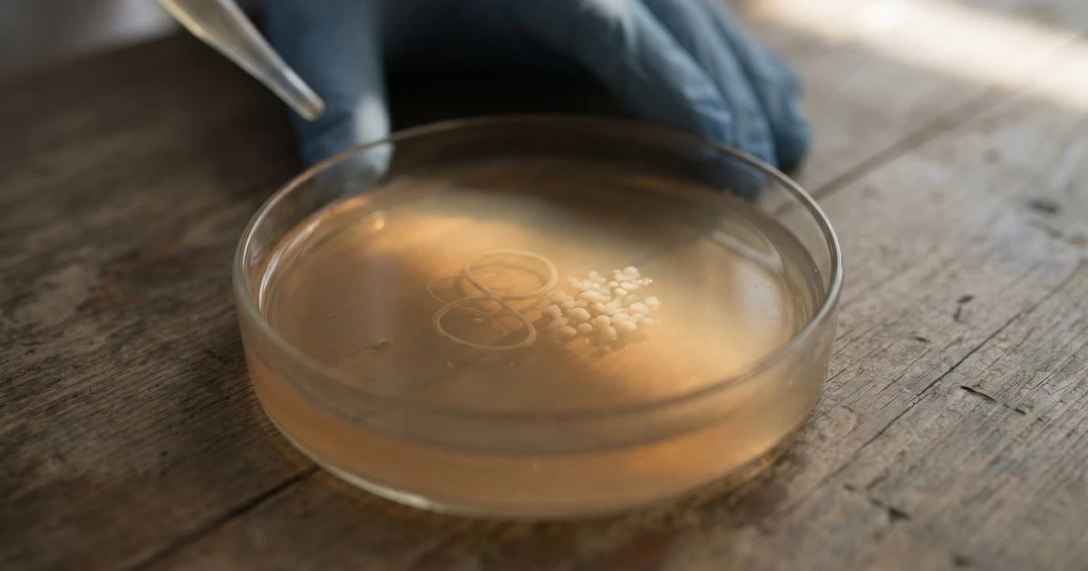 Schistosomiasis and Environmental Gut Dysfunction May Be Silently Compounding Each Other in Children