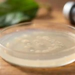 The Gut Bacteria Imbalance That Quietly Accelerates Liver Disease
