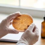 Yoga Shifted Gut Bacteria and Boosted Memory in Early Alzheimer's Patients, AIIMS Finds